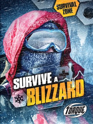 cover image of Survive a Blizzard